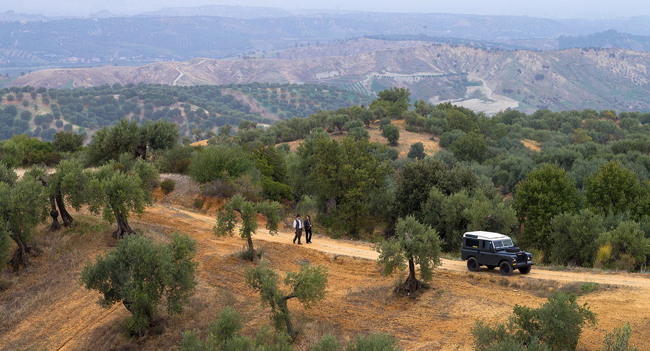 T.J. Robinson, The Olive Oil Hunter